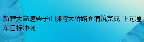 新楚大高速栗子山脚特大桥路面铺筑完成 正向通车目标冲刺