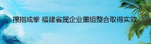 攥指成拳 福建省属企业重组整合取得实效