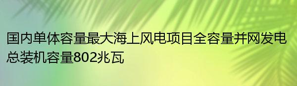 国内单体容量最大海上风电项目全容量并网发电 总装机容量802兆瓦