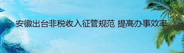 安徽出台非税收入征管规范 提高办事效率