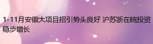 1-11月安徽大项目招引势头良好 沪苏浙在皖投资稳步增长