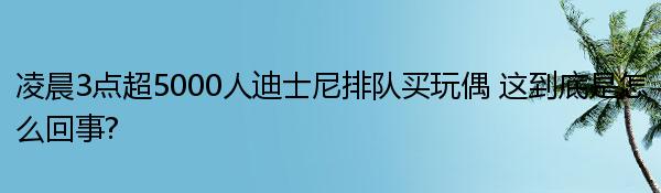 凌晨3点超5000人迪士尼排队买玩偶 这到底是怎么回事?