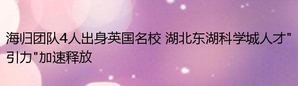 海归团队4人出身英国名校 湖北东湖科学城人才“引力”加速释放 
