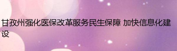 甘孜州强化医保改革服务民生保障 加快信息化建设