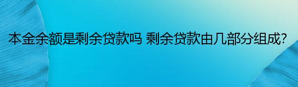 本金余额是剩余贷款吗 剩余贷款由几部分组成？