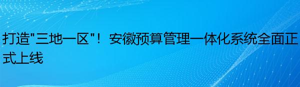 打造“三地一区”！安徽预算管理一体化系统全面正式上线