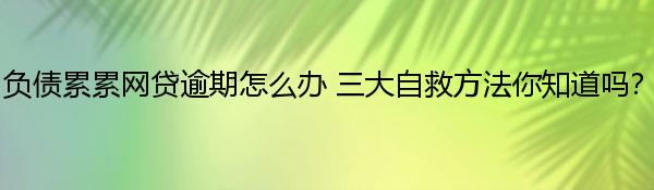 负债累累网贷逾期怎么办 三大自救方法你知道吗？