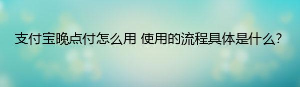 支付宝晚点付怎么用 使用的流程具体是什么？