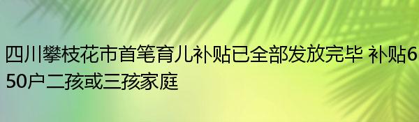 四川攀枝花市首笔育儿补贴已全部发放完毕 补贴650户二孩或三孩家庭