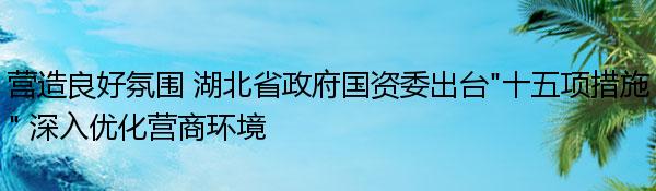 营造良好氛围 湖北省政府国资委出台“十五项措施” 深入优化营商环境 