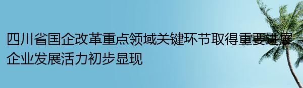 四川省国企改革重点领域关键环节取得重要进展 企业发展活力初步显现