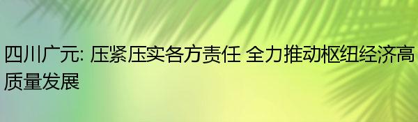 四川广元: 压紧压实各方责任 全力推动枢纽经济高质量发展