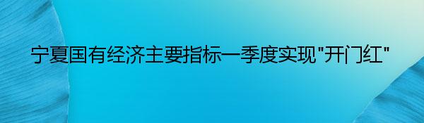 宁夏国有经济主要指标一季度实现“开门红”