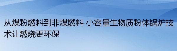 从煤粉燃料到非煤燃料 小容量生物质粉体锅炉技术让燃烧更环保