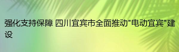 强化支持保障 四川宜宾市全面推动“电动宜宾”建设 