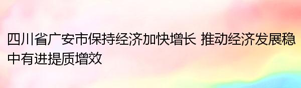 四川省广安市保持经济加快增长 推动经济发展稳中有进提质增效