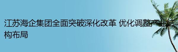 江苏海企集团全面突破深化改革 优化调整产业结构布局