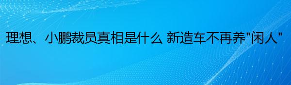 理想、小鹏裁员真相是什么 新造车不再养“闲人”