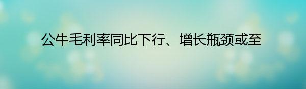 公牛毛利率同比下行、增长瓶颈或至