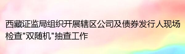 西藏证监局组织开展辖区公司及债券发行人现场检查“双随机”抽查工作