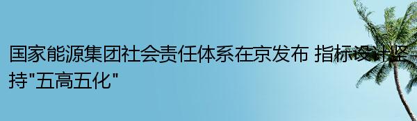 国家能源集团社会责任体系在京发布 指标设计坚持“五高五化”