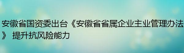 安徽省国资委出台《安徽省省属企业主业管理办法》 提升抗风险能力