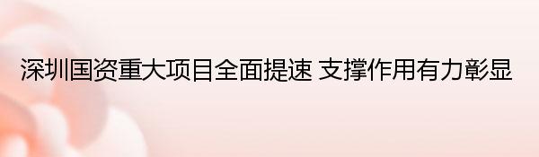 深圳国资重大项目全面提速 支撑作用有力彰显