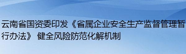 云南省国资委印发《省属企业安全生产监督管理暂行办法》 健全风险防范化解机制