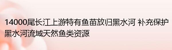 14000尾长江上游特有鱼苗放归黑水河 补充保护黑水河流域天然鱼类资源