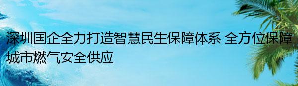深圳国企全力打造智慧民生保障体系 全方位保障城市燃气安全供应