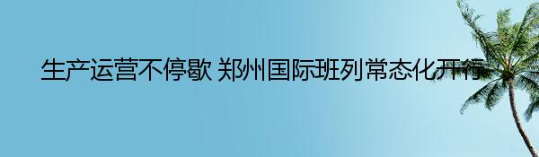 生产运营不停歇 郑州国际班列常态化开行 