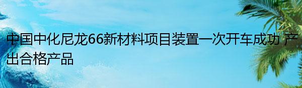 中国中化尼龙66新材料项目装置一次开车成功 产出合格产品