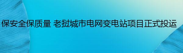 保安全保质量 老挝城市电网变电站项目正式投运 