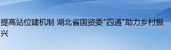 提高站位建机制 湖北省国资委“四通”助力乡村振兴