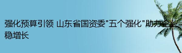 强化预算引领 山东省国资委“五个强化”助力企业稳增长