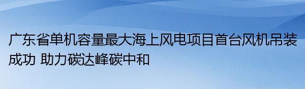 广东省单机容量最大海上风电项目首台风机吊装成功 助力碳达峰碳中和