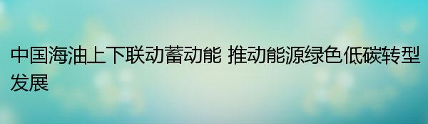 中国海油上下联动蓄动能 推动能源绿色低碳转型发展