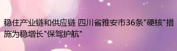 稳住产业链和供应链 四川省雅安市36条“硬核”措施为稳增长“保驾护航”