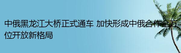 中俄黑龙江大桥正式通车 加快形成中俄合作全方位开放新格局