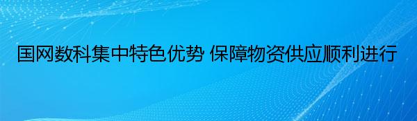 国网数科集中特色优势 保障物资供应顺利进行