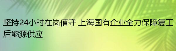 坚持24小时在岗值守 上海国有企业全力保障复工后能源供应