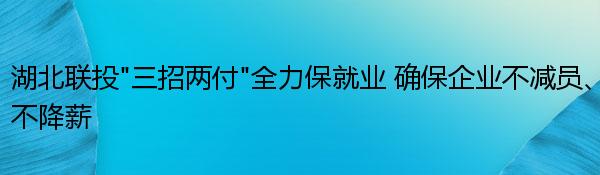 湖北联投“三招两付”全力保就业 确保企业不减员、不降薪