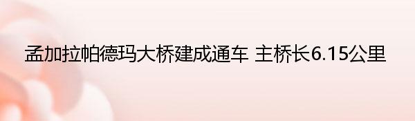 孟加拉帕德玛大桥建成通车 主桥长6.15公里