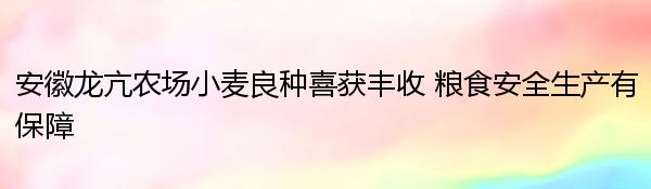 安徽龙亢农场小麦良种喜获丰收 粮食安全生产有保障