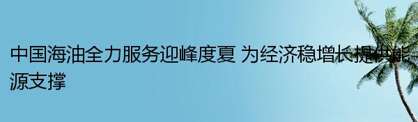 中国海油全力服务迎峰度夏 为经济稳增长提供能源支撑