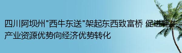 四川阿坝州“西牛东送”架起东西致富桥 促进牦牛产业资源优势向经济优势转化