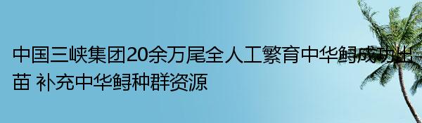 中国三峡集团20余万尾全人工繁育中华鲟成功出苗 补充中华鲟种群资源